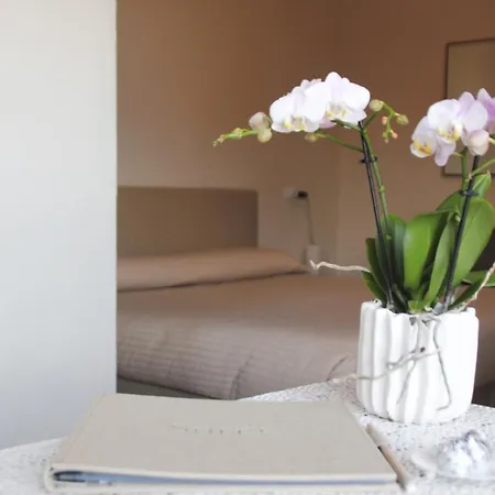 Sole كانيرو ريفييرا