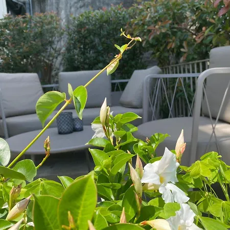 Sole 3* Cannero Riviera