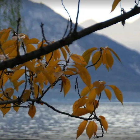 Sole Cannero Riviera