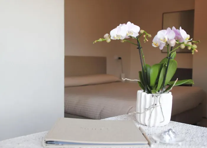 Sole 카네로 리비에라