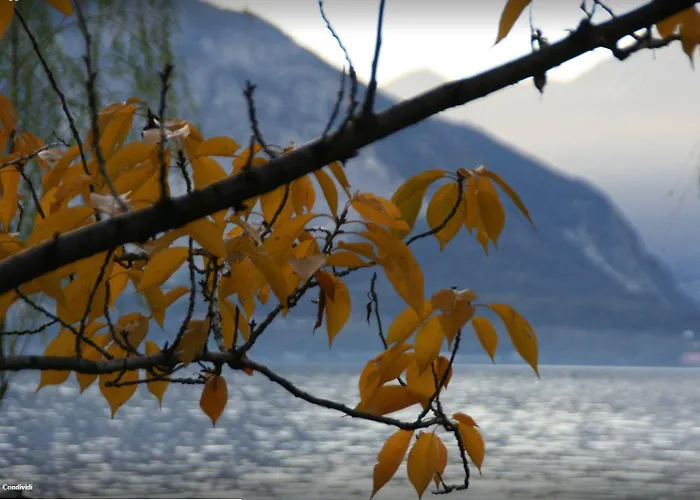 Sole Cannero Riviera